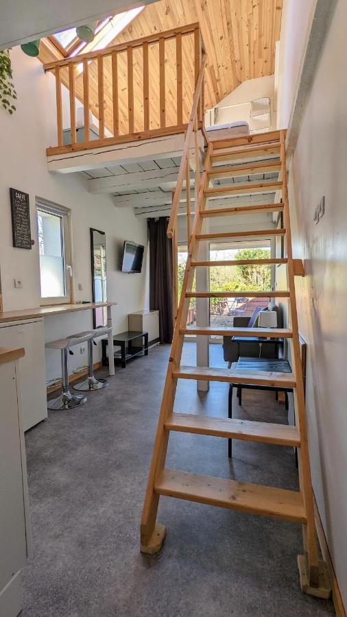 שטרסבורג Studio Mezzanine Chez Papou, Ville Et Foret מראה חיצוני תמונה