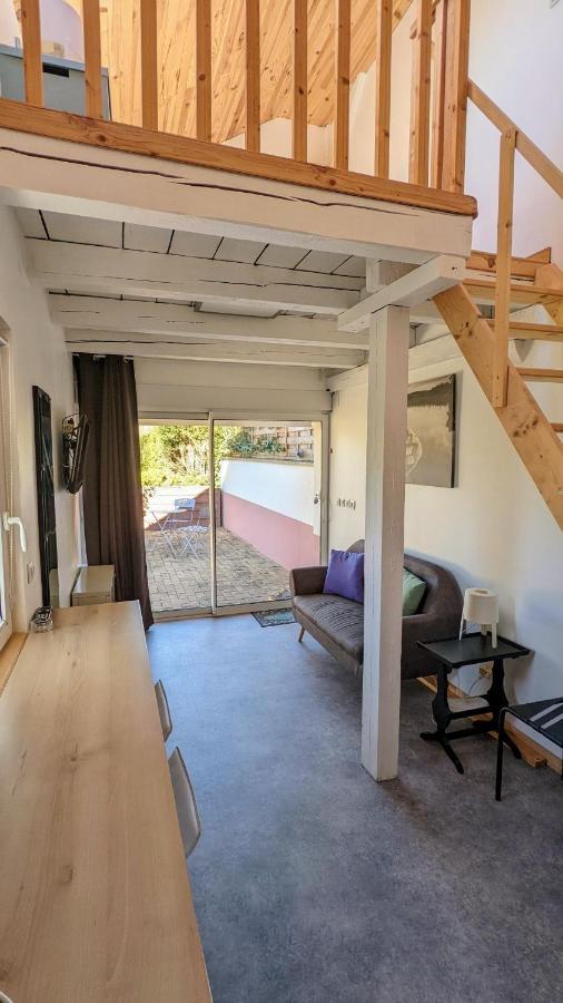 שטרסבורג Studio Mezzanine Chez Papou, Ville Et Foret מראה חיצוני תמונה