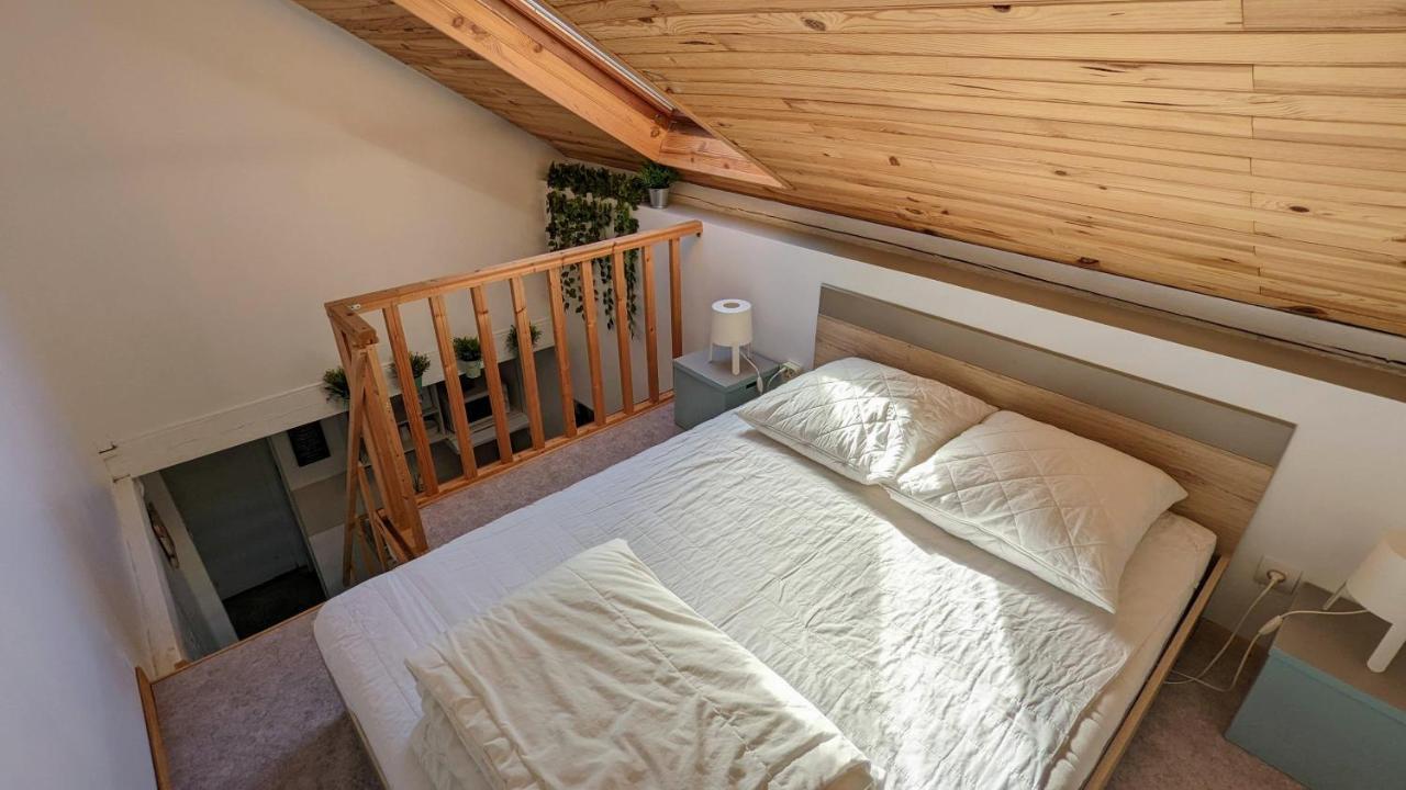 שטרסבורג Studio Mezzanine Chez Papou, Ville Et Foret מראה חיצוני תמונה